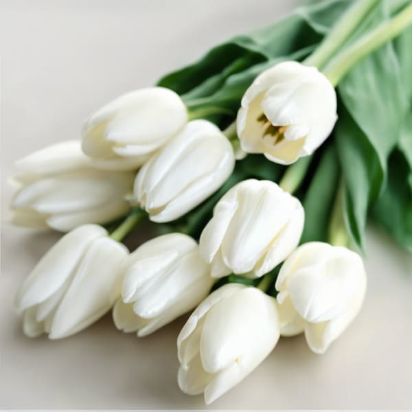 Cách trồng và trang trí hoa tulip