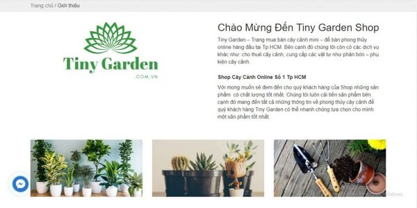 Tiny Garden là nơi bán cây cảnh chất lượng tại TPHCM