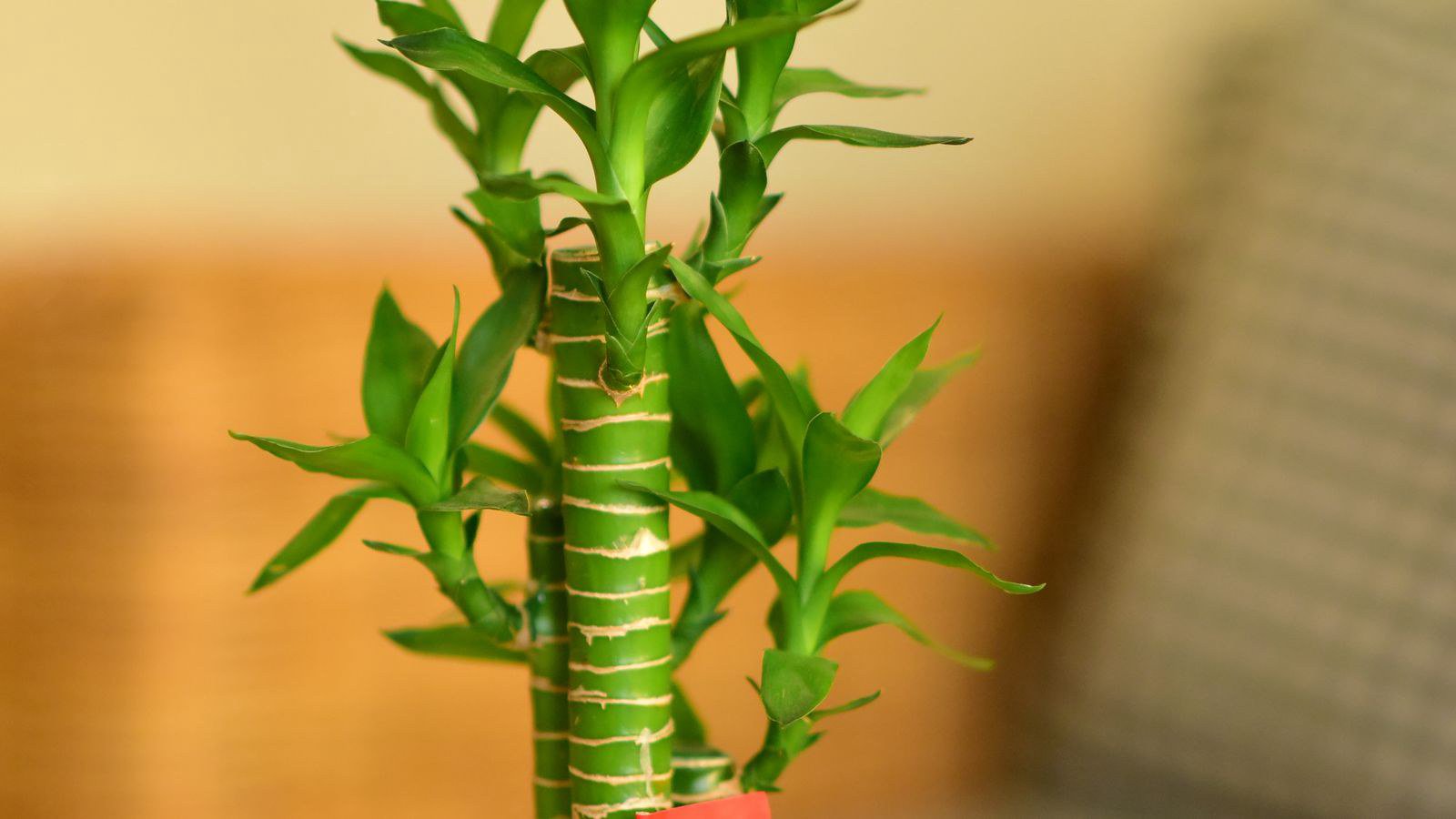 Quan niệm và thực tế cần cân bằng