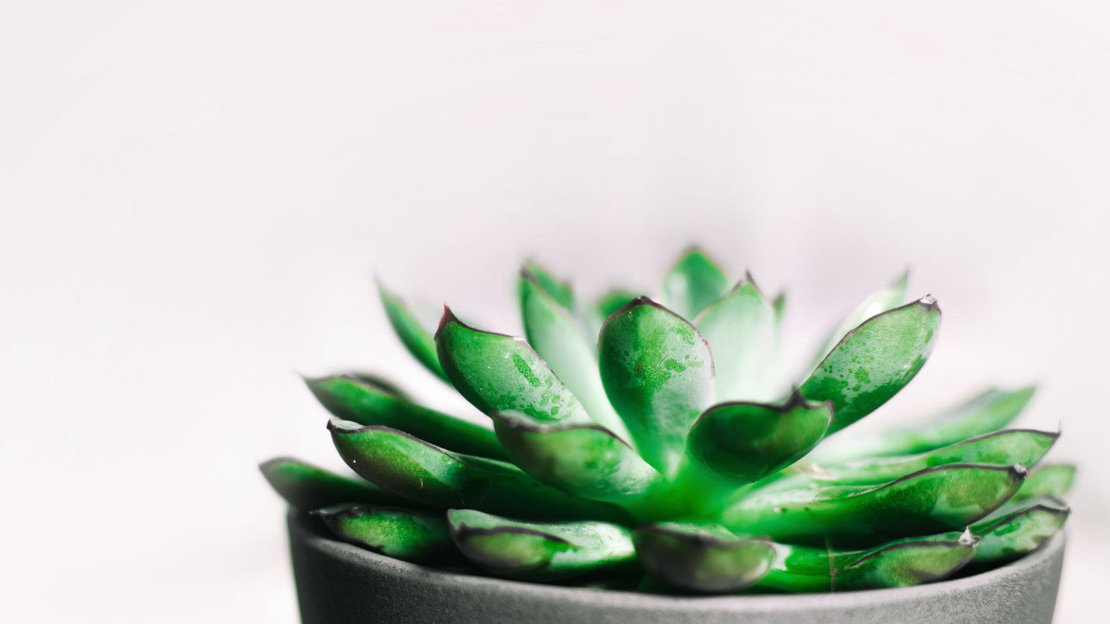 Cách tính chi phí một mẻ đúc