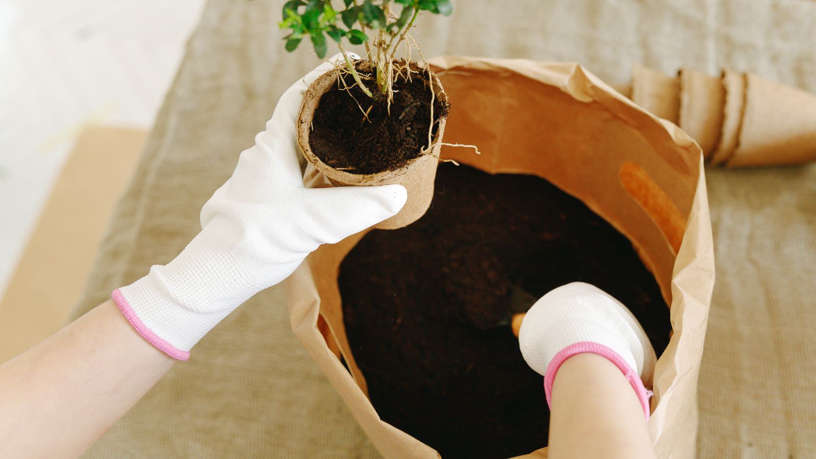 Chọn và phối trộn đất trồng