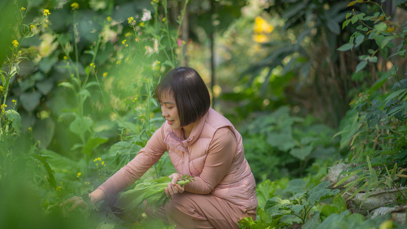 Tần suất tưới cây cảnh theo mùa