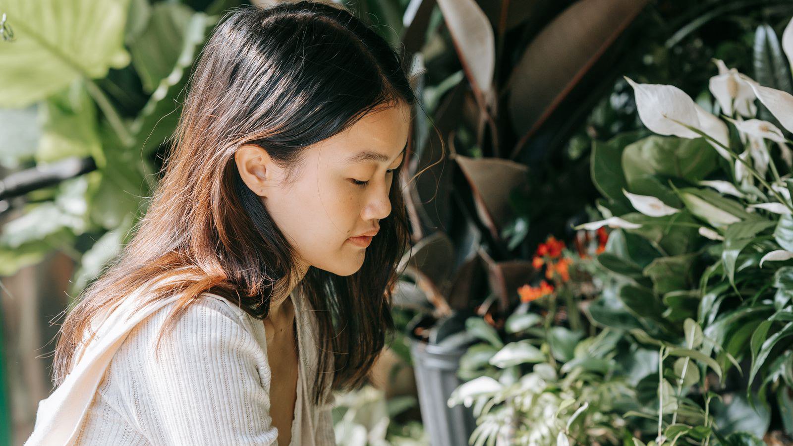 Lịch bón phân cơ bản